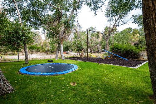 A grassy yard features a trampoline and a swing set surrounded by trees and a natural landscape.